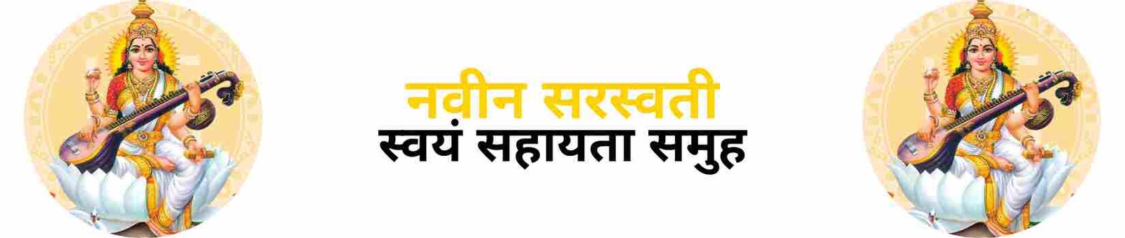 New Saraswati Swayam Sahayata Samuh