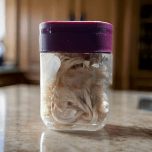 solar-dried-onion-flakesbg-shgeshop